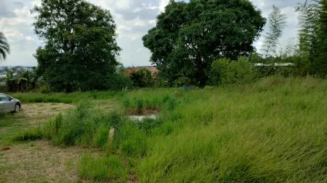 Comprar Rurais / Chácara em Suzano R$ 500.000,00 - Foto 23