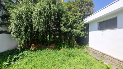 Alugar Casas / Térrea em Suzano R$ 15.000,00 - Foto 43
