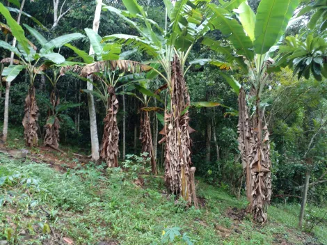 Comprar Rurais / Chácara em Biritiba Mirim R$ 285.000,00 - Foto 4