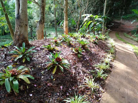 Comprar Rurais / Chácara em Biritiba Mirim R$ 285.000,00 - Foto 7