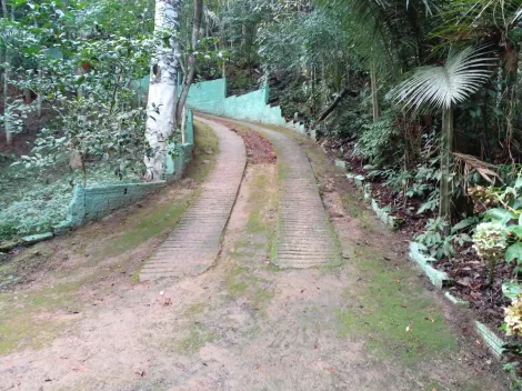 Comprar Rurais / Chácara em Biritiba Mirim R$ 285.000,00 - Foto 8