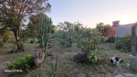 Comprar Rurais / Chácara em Suzano R$ 700.000,00 - Foto 36