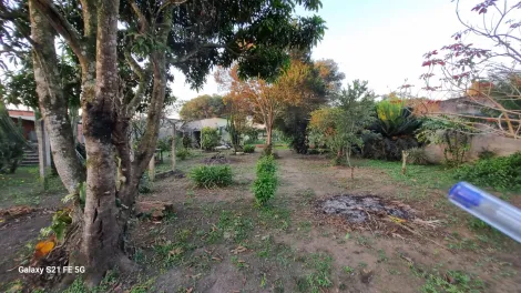 Comprar Rurais / Chácara em Suzano R$ 700.000,00 - Foto 38