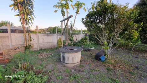 Comprar Rurais / Chácara em Suzano R$ 700.000,00 - Foto 40