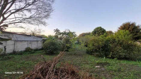Comprar Rurais / Chácara em Suzano R$ 700.000,00 - Foto 41