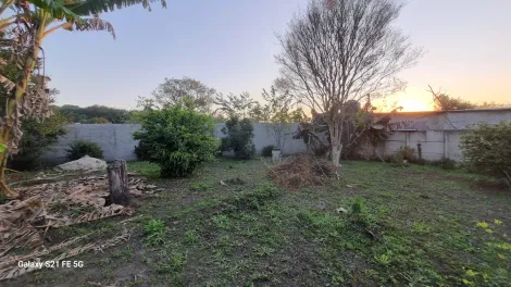 Comprar Rurais / Chácara em Suzano R$ 700.000,00 - Foto 42