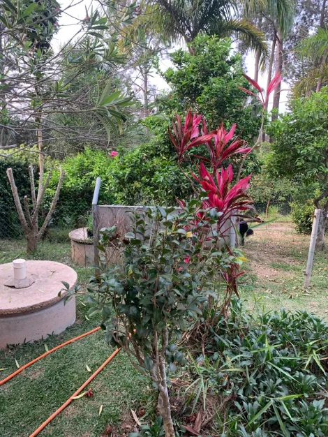 Comprar Casas / Chacara - área Urbana em Suzano R$ 800.000,00 - Foto 6