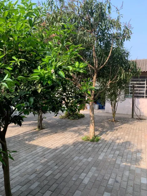 Comprar Casas / Chacara - área Urbana em Suzano R$ 800.000,00 - Foto 35
