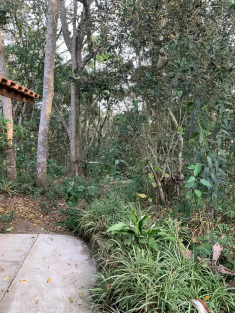 Comprar Casas / Chacara - área Urbana em Suzano R$ 800.000,00 - Foto 38