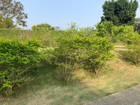 Comprar Casas / Chacara - área Urbana em Suzano R$ 800.000,00 - Foto 45