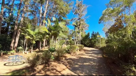 Comprar Casas / Condomínio em Suzano R$ 1.600.000,00 - Foto 32