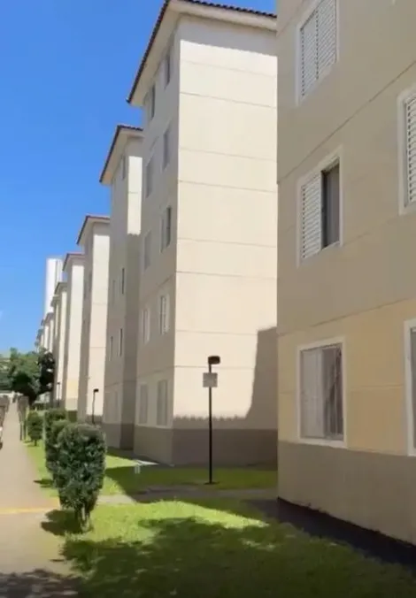 Alugar Apartamentos / Padrão em Suzano R$ 830,00 - Foto 17