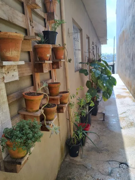 Comprar Casas / Térrea em Suzano R$ 300.000,00 - Foto 3