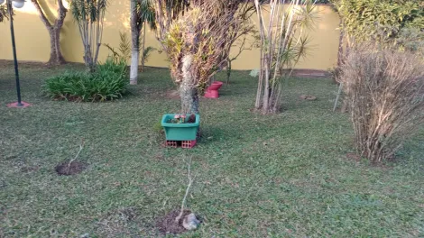 Comprar Casas / Chacara - área Urbana em Suzano R$ 1.299.000,00 - Foto 5