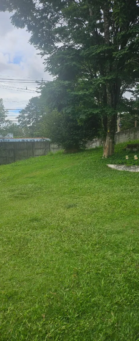 Comprar Rurais / Chácara em Suzano R$ 550.000,00 - Foto 7