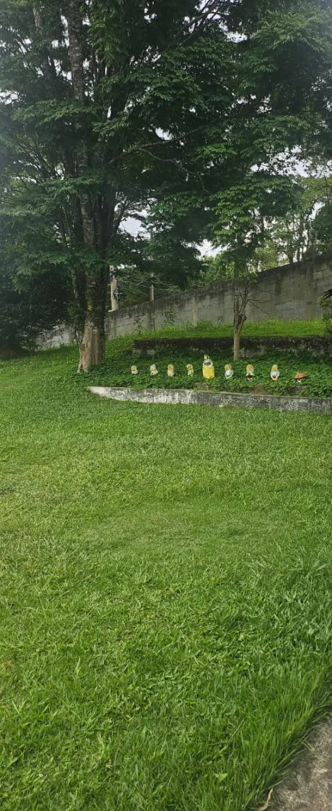 Comprar Rurais / Chácara em Suzano R$ 550.000,00 - Foto 5