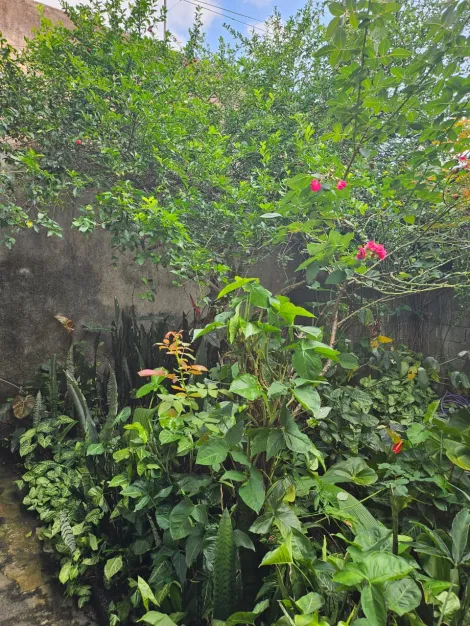 Comprar Casas / Térrea em Suzano R$ 850.000,00 - Foto 29
