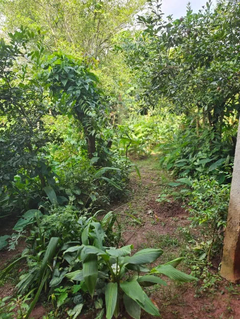 Comprar Casas / Térrea em Suzano R$ 850.000,00 - Foto 27