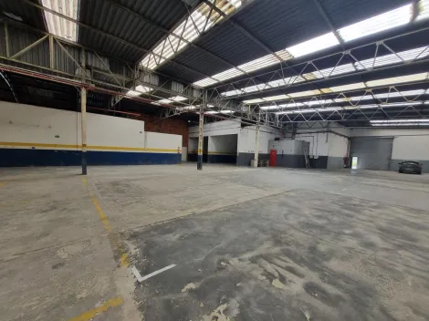 Alugar Comerciais / Galpão - Comercial em Suzano R$ 8.750,00 - Foto 4