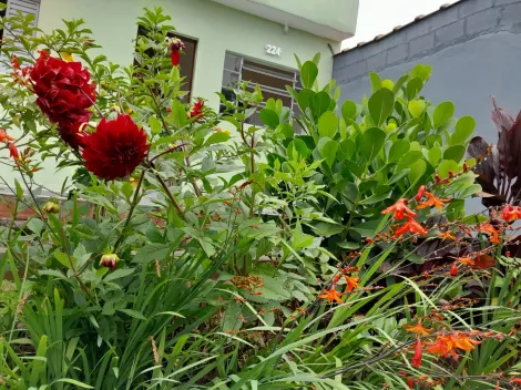 Comprar Casas / Térrea em Suzano R$ 365.700,00 - Foto 2