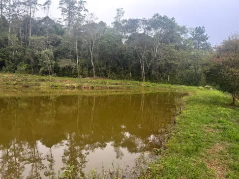 Alugar Rurais / Fazenda em Suzano R$ 5.000,00 - Foto 11