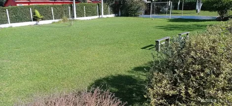 Alugar Rurais / Chácara em Suzano R$ 10.000,00 - Foto 14