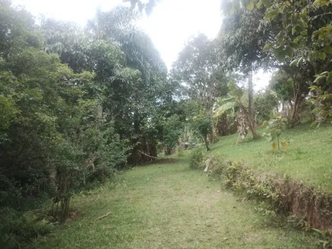 Comprar Rurais / Sítio em Mogi das Cruzes R$ 700.000,00 - Foto 5