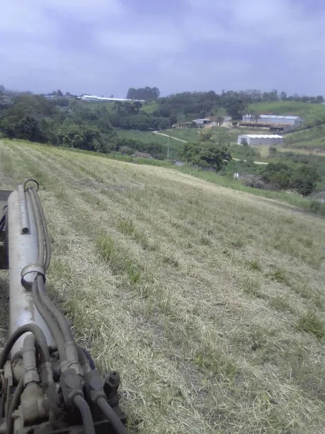 Comprar Rurais / Sítio em Suzano R$ 1.730.000,00 - Foto 3