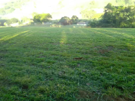 Comprar Rurais / Sítio em Suzano R$ 1.730.000,00 - Foto 2