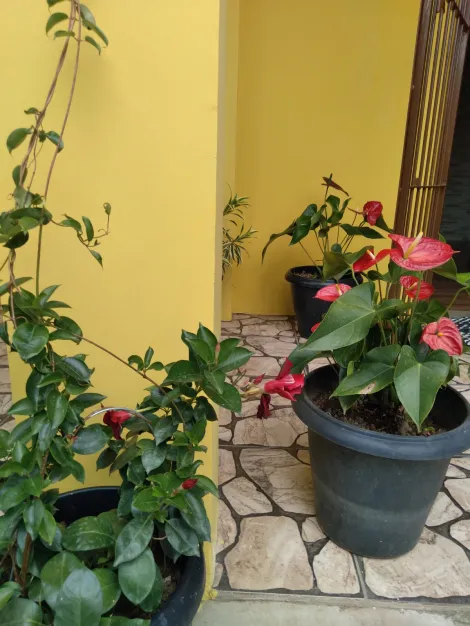 Comprar Casas / Sobrado em Poá R$ 1.400.000,00 - Foto 36