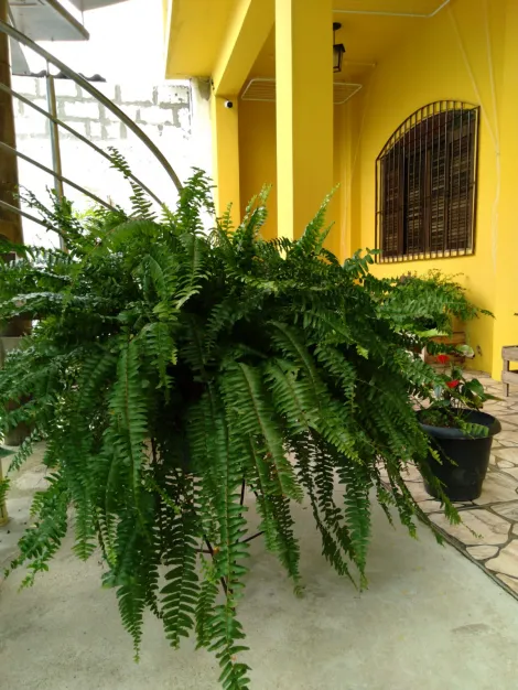 Comprar Casas / Sobrado em Poá R$ 1.400.000,00 - Foto 37