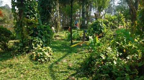 Alugar Rurais / Sítio em Suzano R$ 30.000,00 - Foto 29