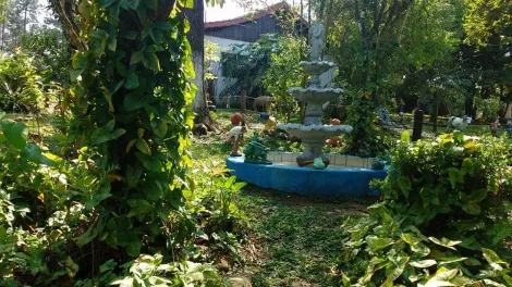 Alugar Rurais / Sítio em Suzano R$ 30.000,00 - Foto 21