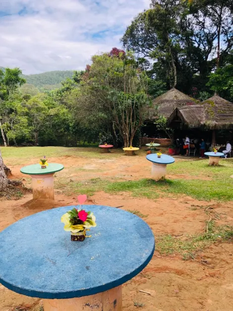 Alugar Rurais / Sítio em Suzano R$ 30.000,00 - Foto 15