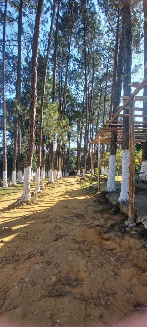 Alugar Rurais / Sítio em Suzano R$ 30.000,00 - Foto 14