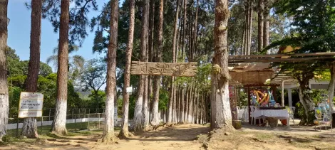 Alugar Rurais / Sítio em Suzano R$ 30.000,00 - Foto 9