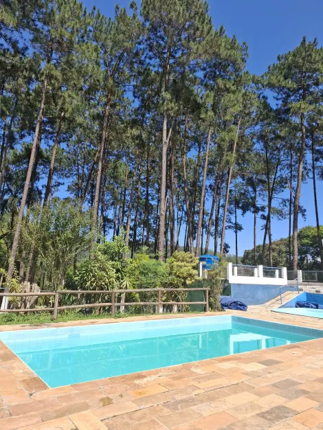 Alugar Rurais / Sítio em Suzano R$ 30.000,00 - Foto 5
