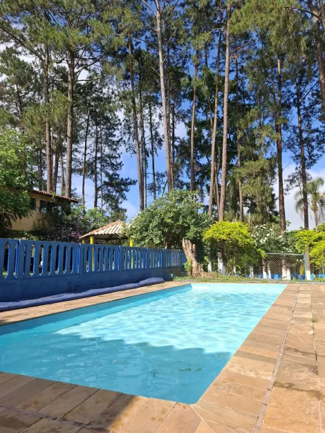 Alugar Rurais / Sítio em Suzano R$ 30.000,00 - Foto 4